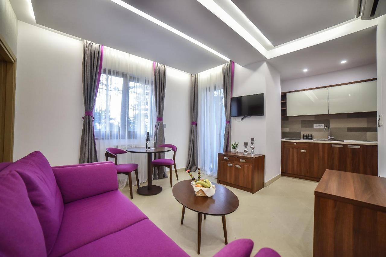 Apartmani Buket ズラティボール エクステリア 写真